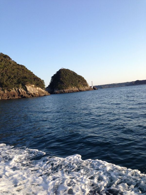 2014/3 ���Y�@�`���E�V