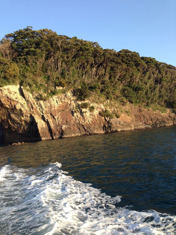 2014/3 ���Y�@�`���E�V