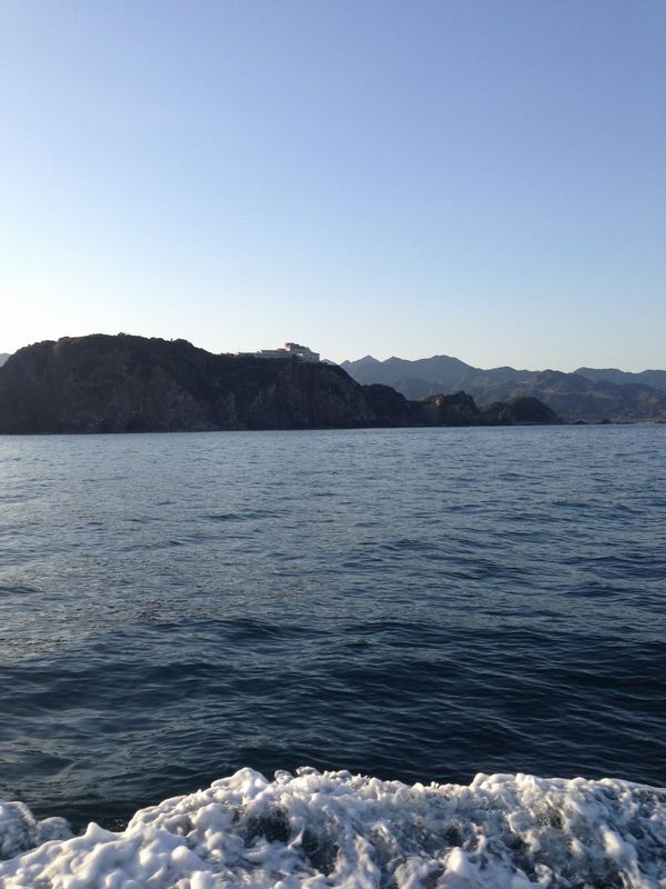 2014/3 ���Y�@�`���E�V