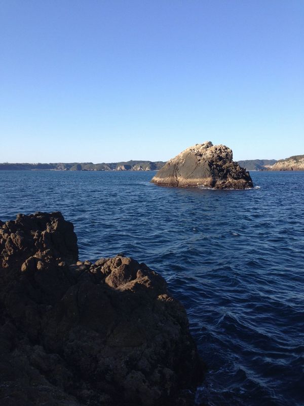 2014/3 ���Y�@�`���E�V