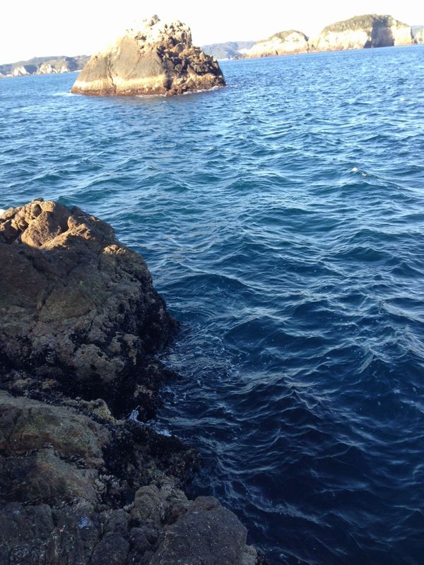 2014/3 ���Y�@�`���E�V