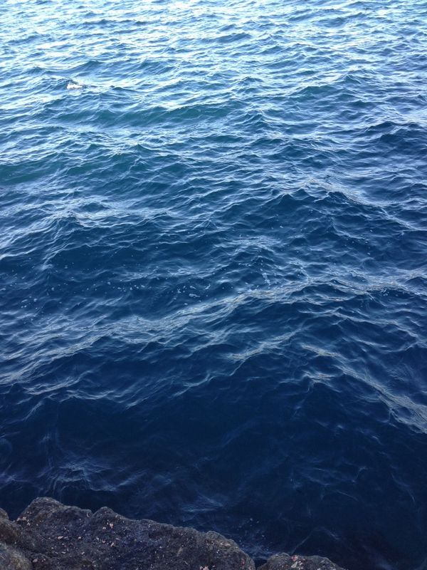 2014/3 ���Y�@�`���E�V