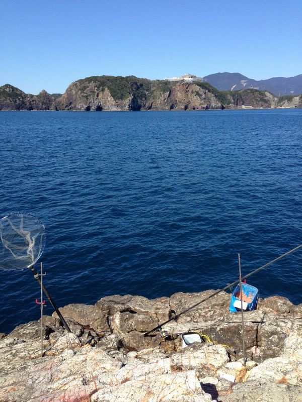 2014/3 ���Y�@�`���E�V