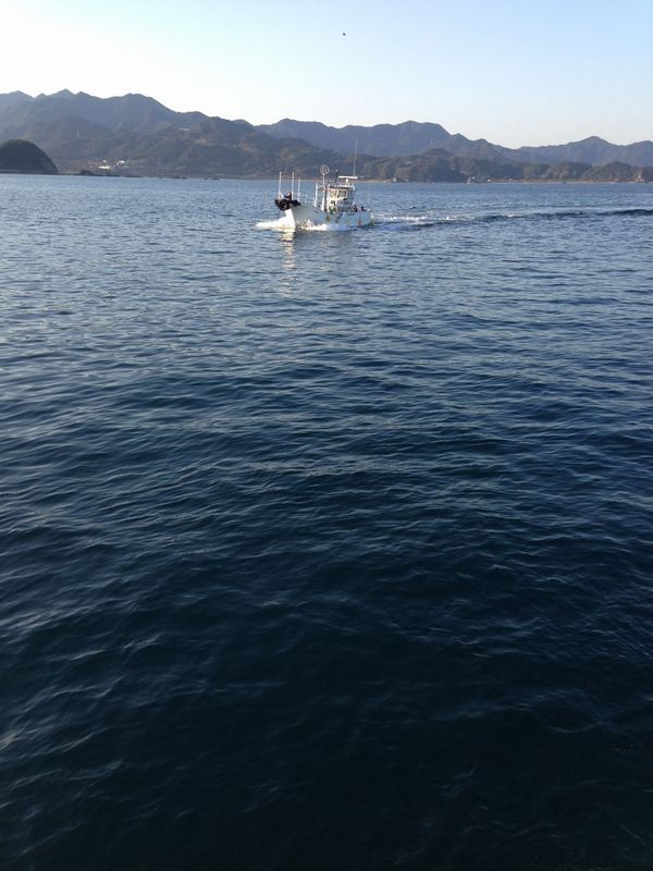 2014/3 ���Y�@�`���E�V