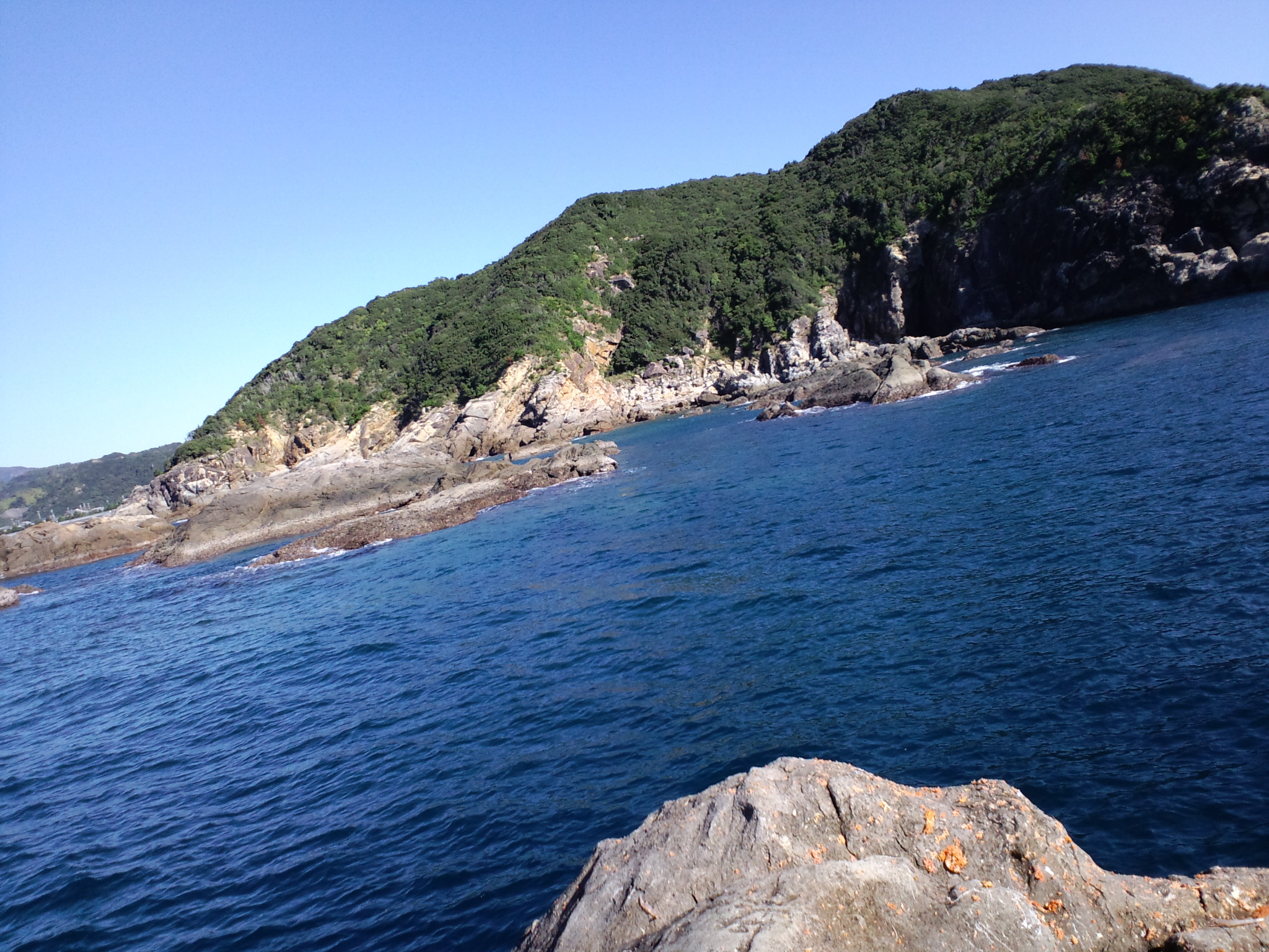 2010/11/5 ���u�Z�C�_�G����