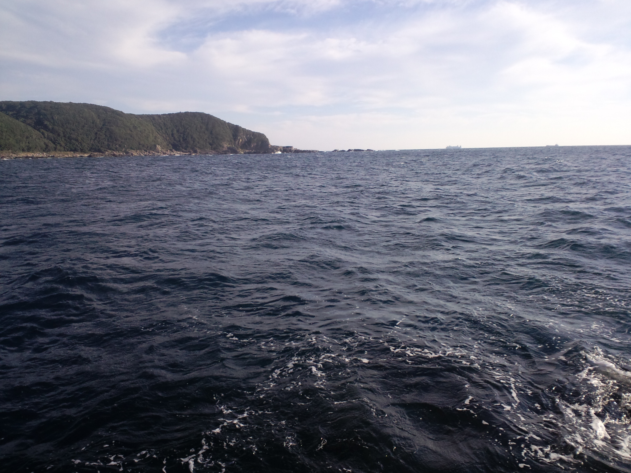 2010/11/5 ���u�Z�C�_�G����