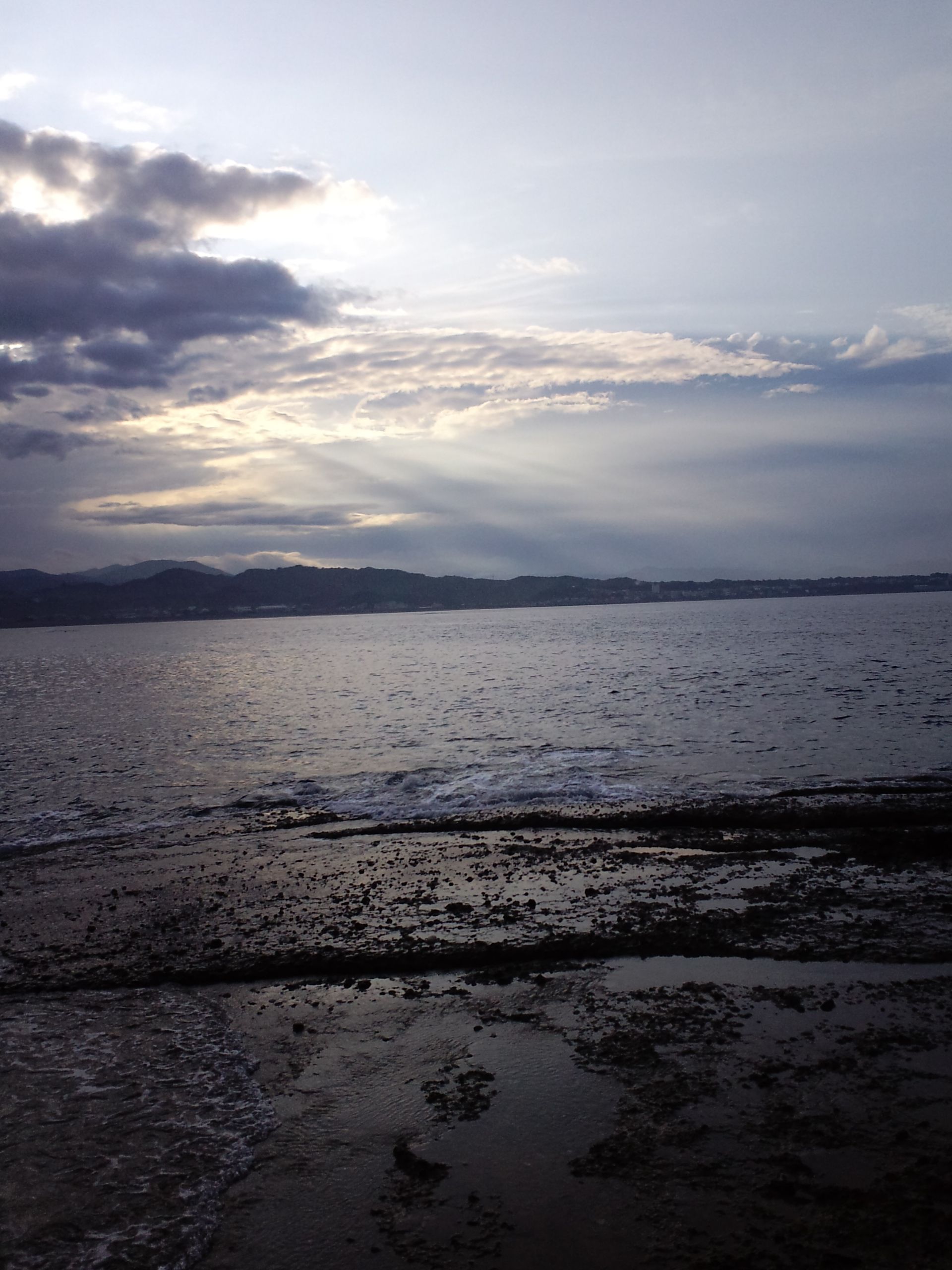 2011/8/1�ڒÍ� �J���X