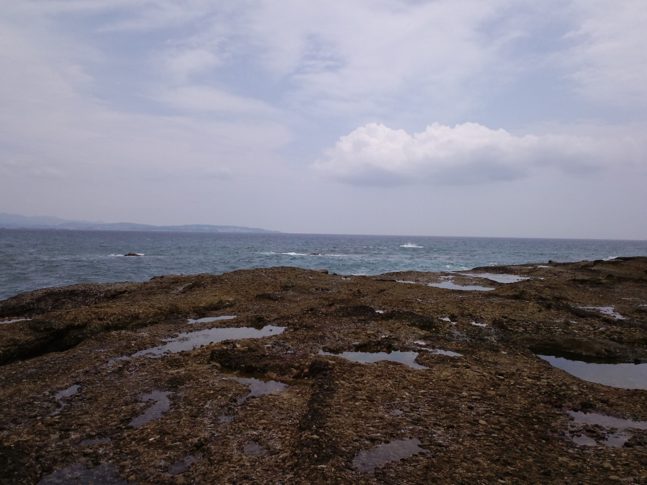 2011/8/1�ڒÍ� �J���X