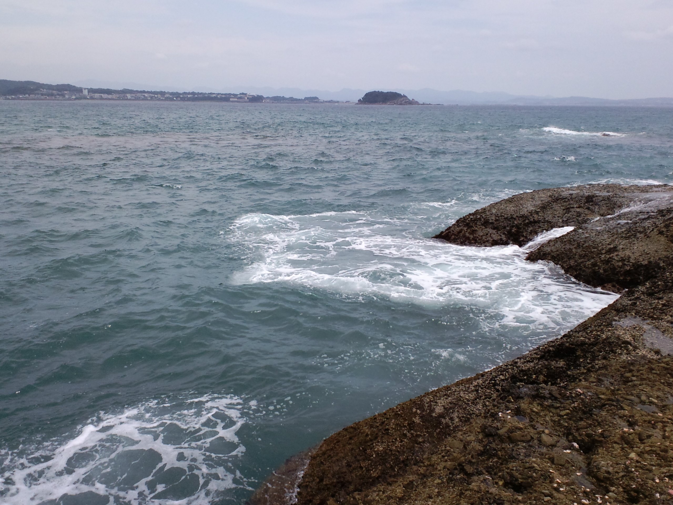 2011/8/1�ڒÍ� �J���X