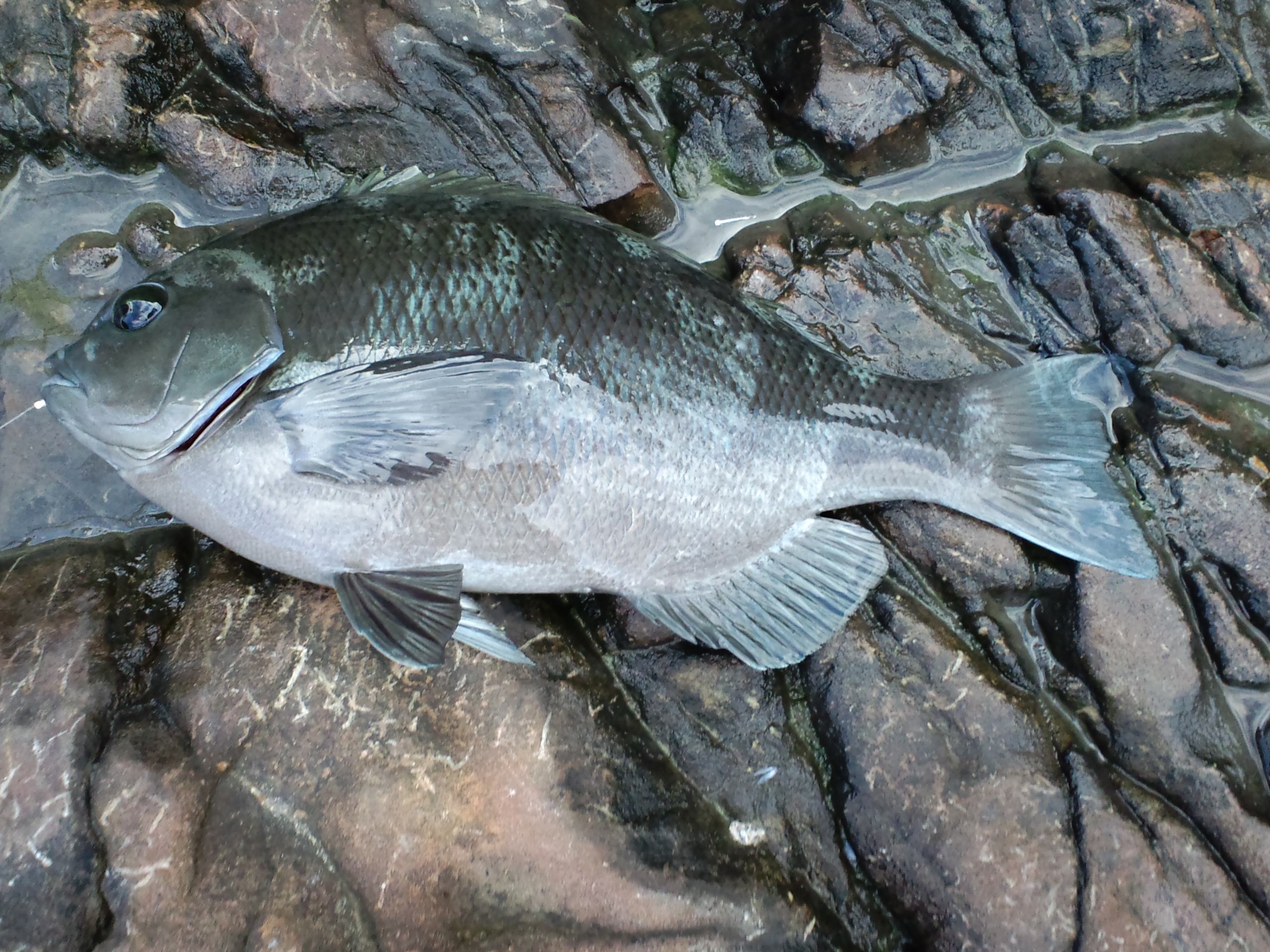 2011/11/25���u ����