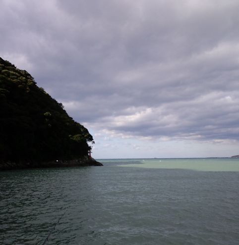 2011/11/25���u ����