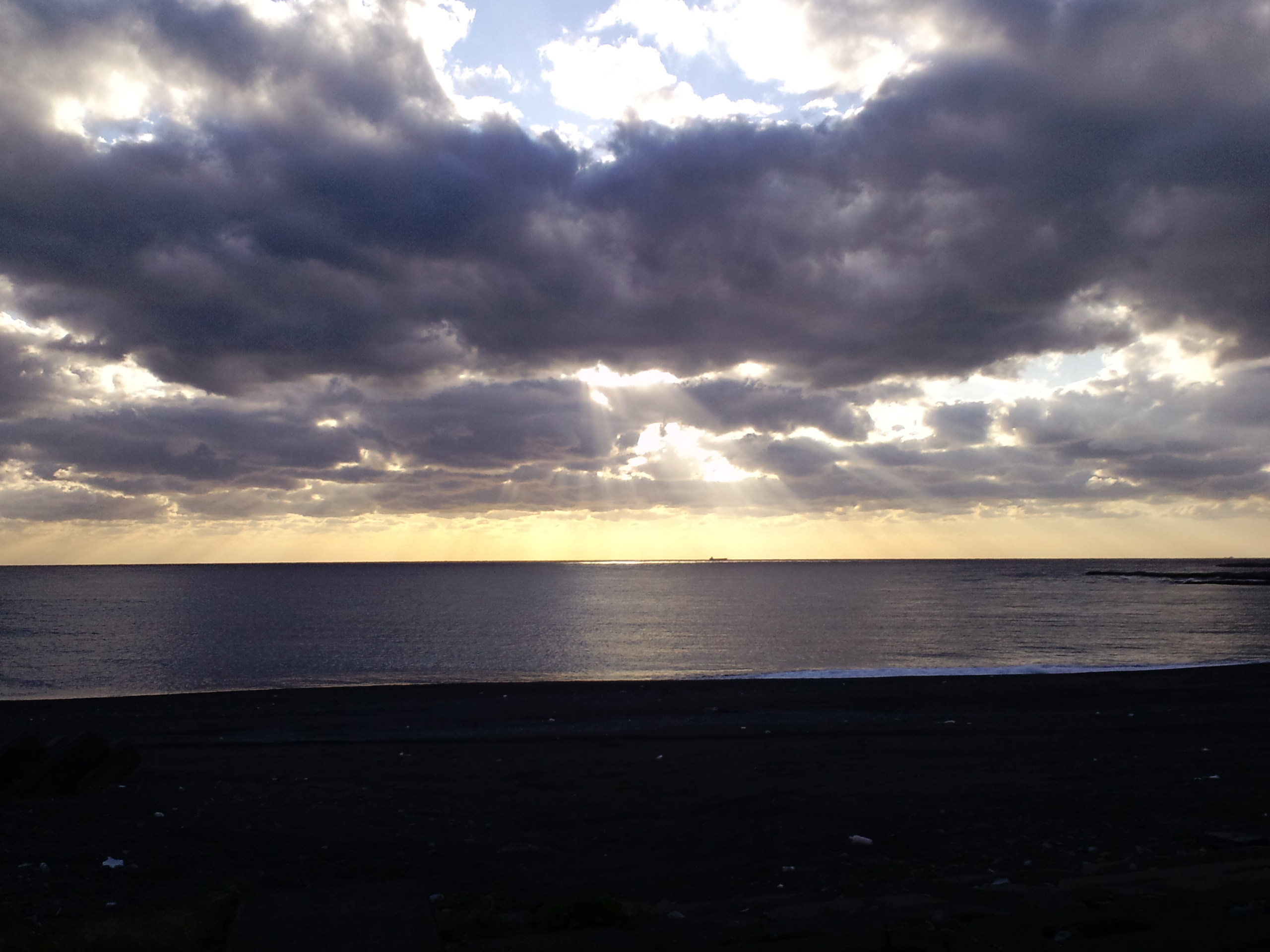 2011/11/25���u ����