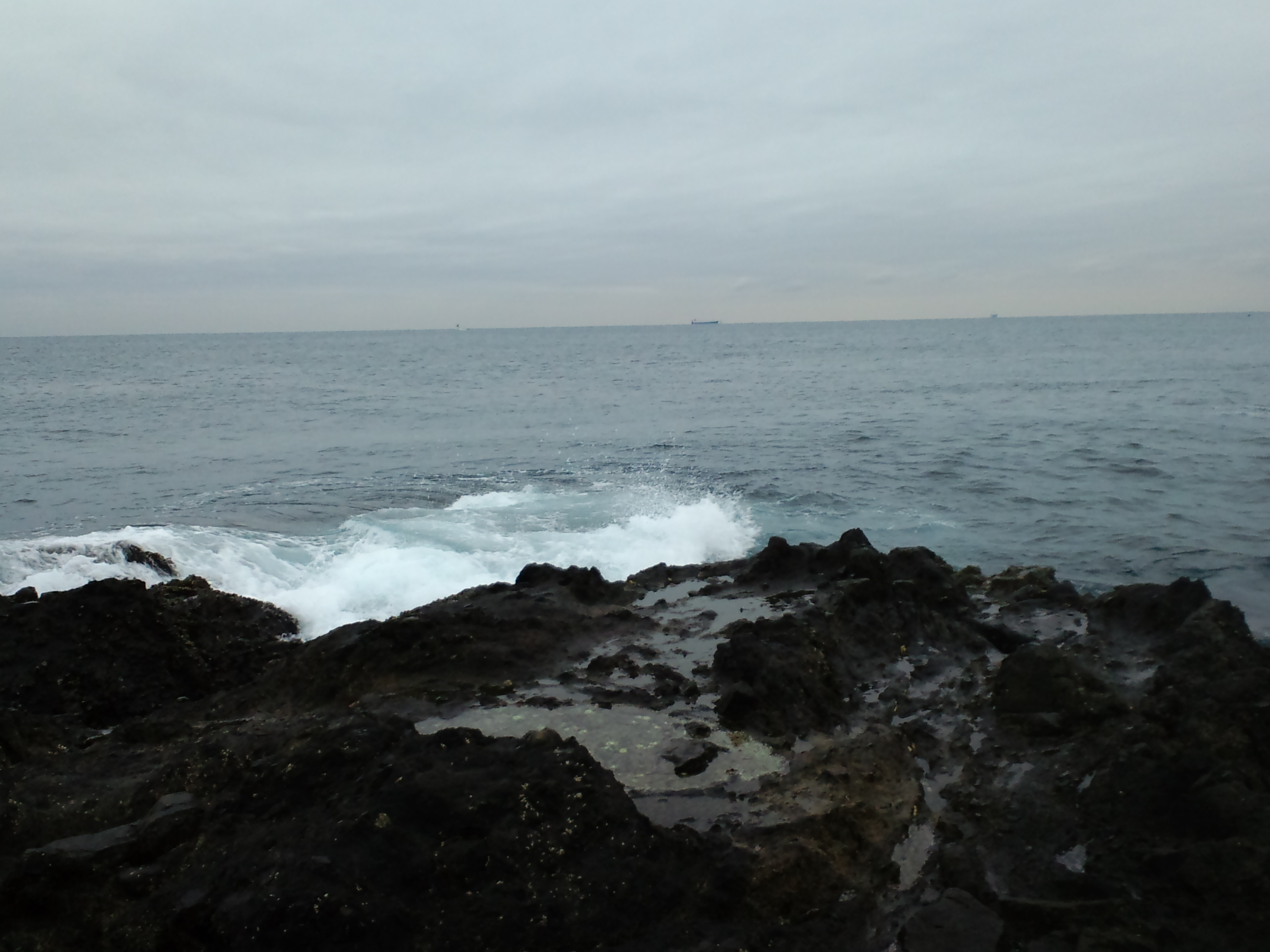 2011/12/2 �O�� ���o�C