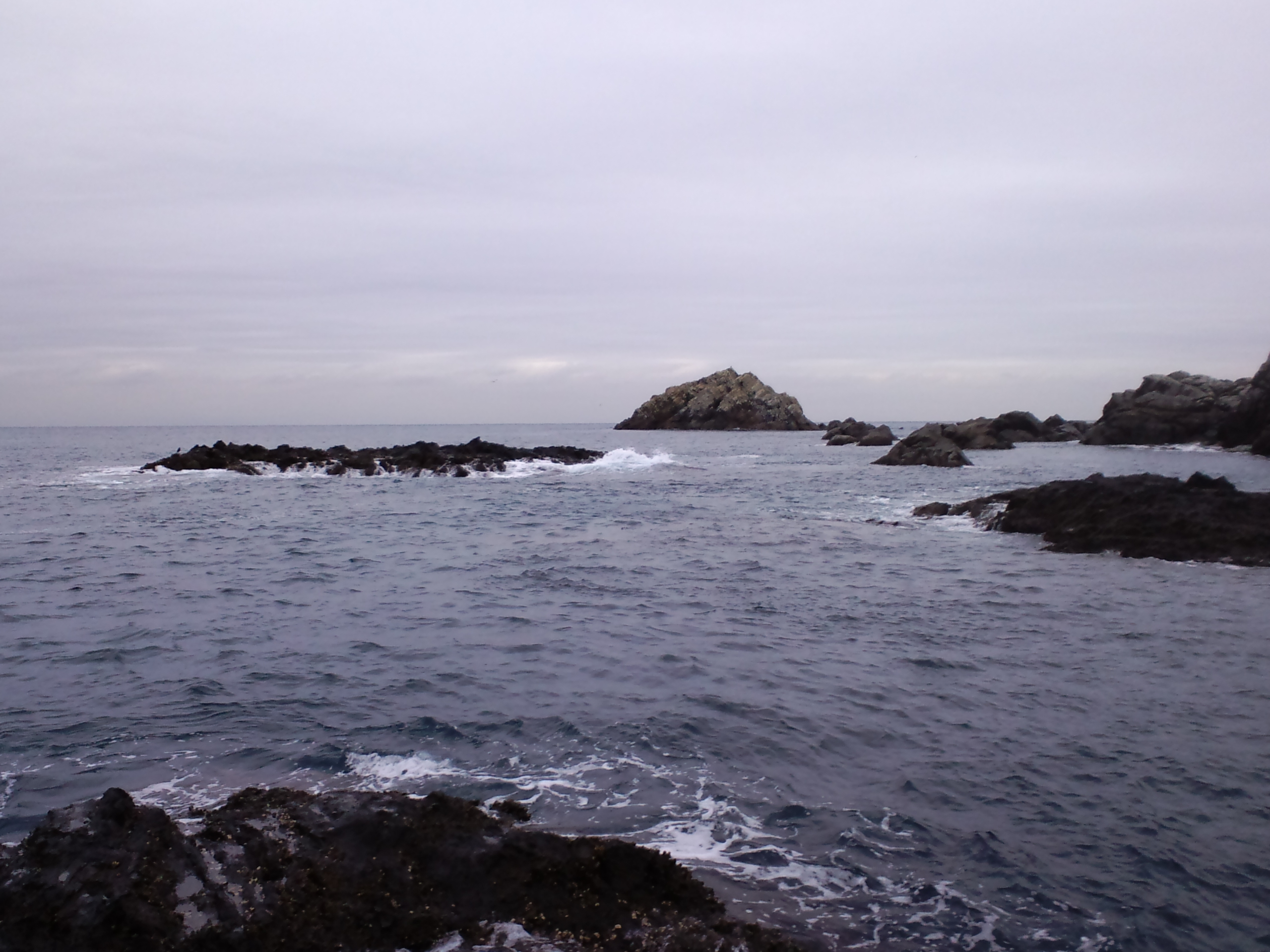 2011/12/2 �O�� ���o�C