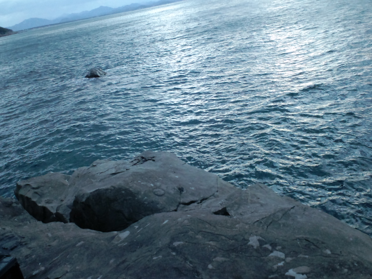 2011/12/27 �O���E�X �I�V�J�P