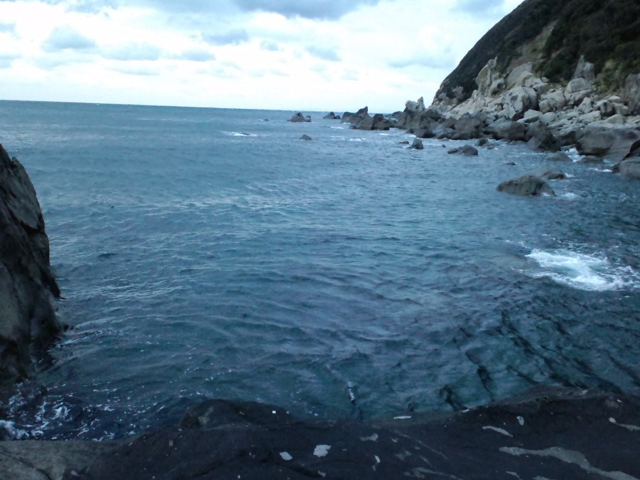 2011/12/27 �O���E�X �I�V�J�P