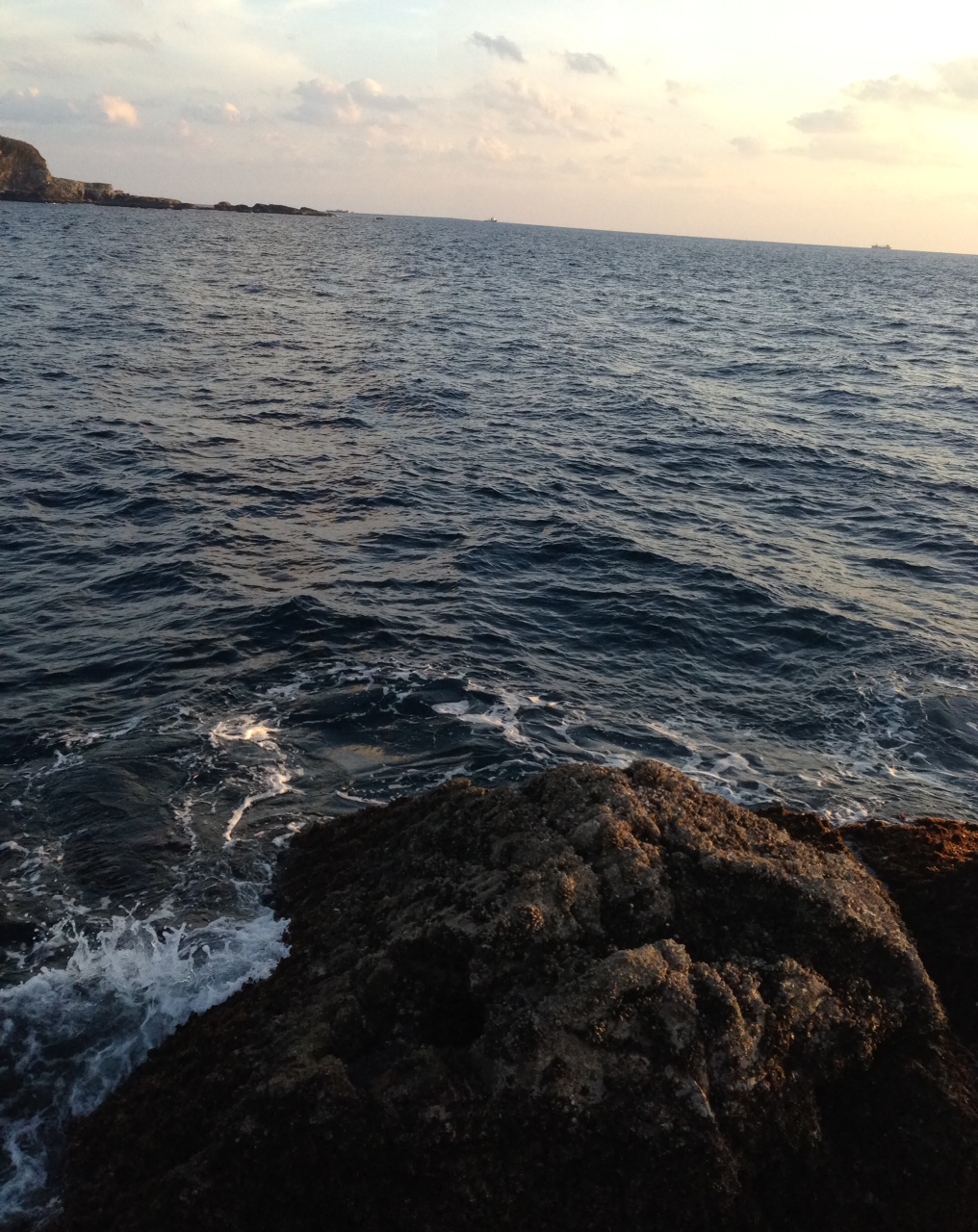 2014/1/24 ���u �Z�C�_�G����