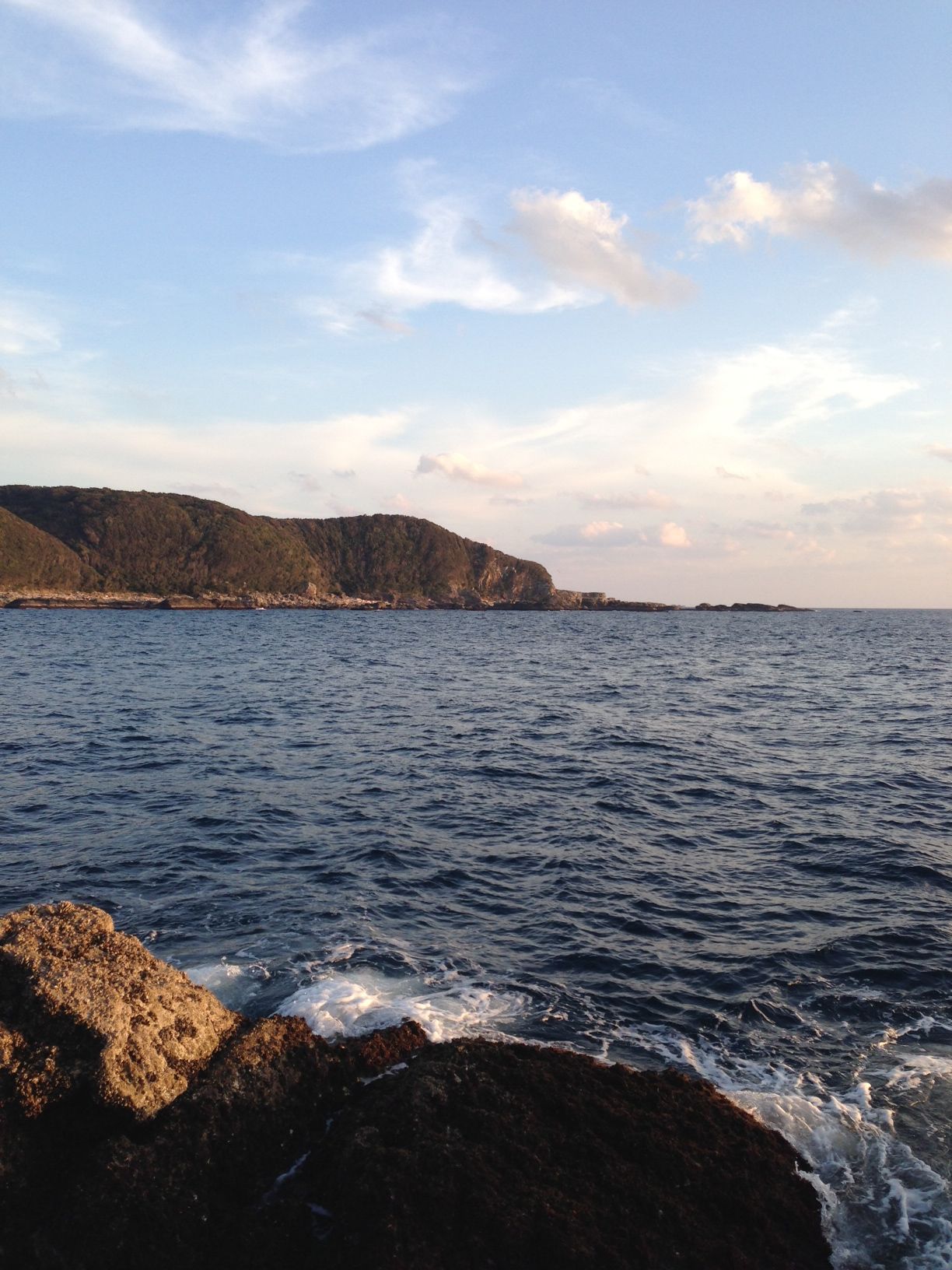 2014/1/24 ���u �Z�C�_�G����