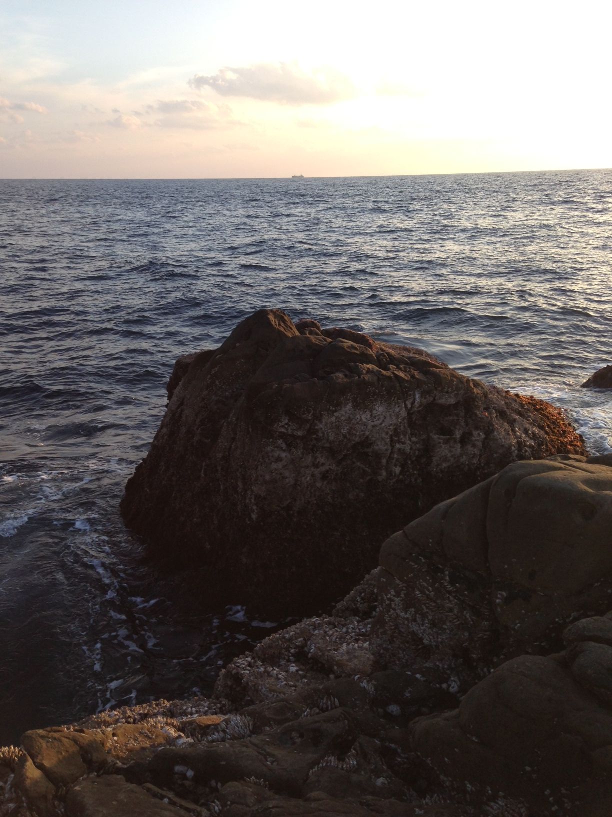 2014/1/24 ���u �Z�C�_�G����