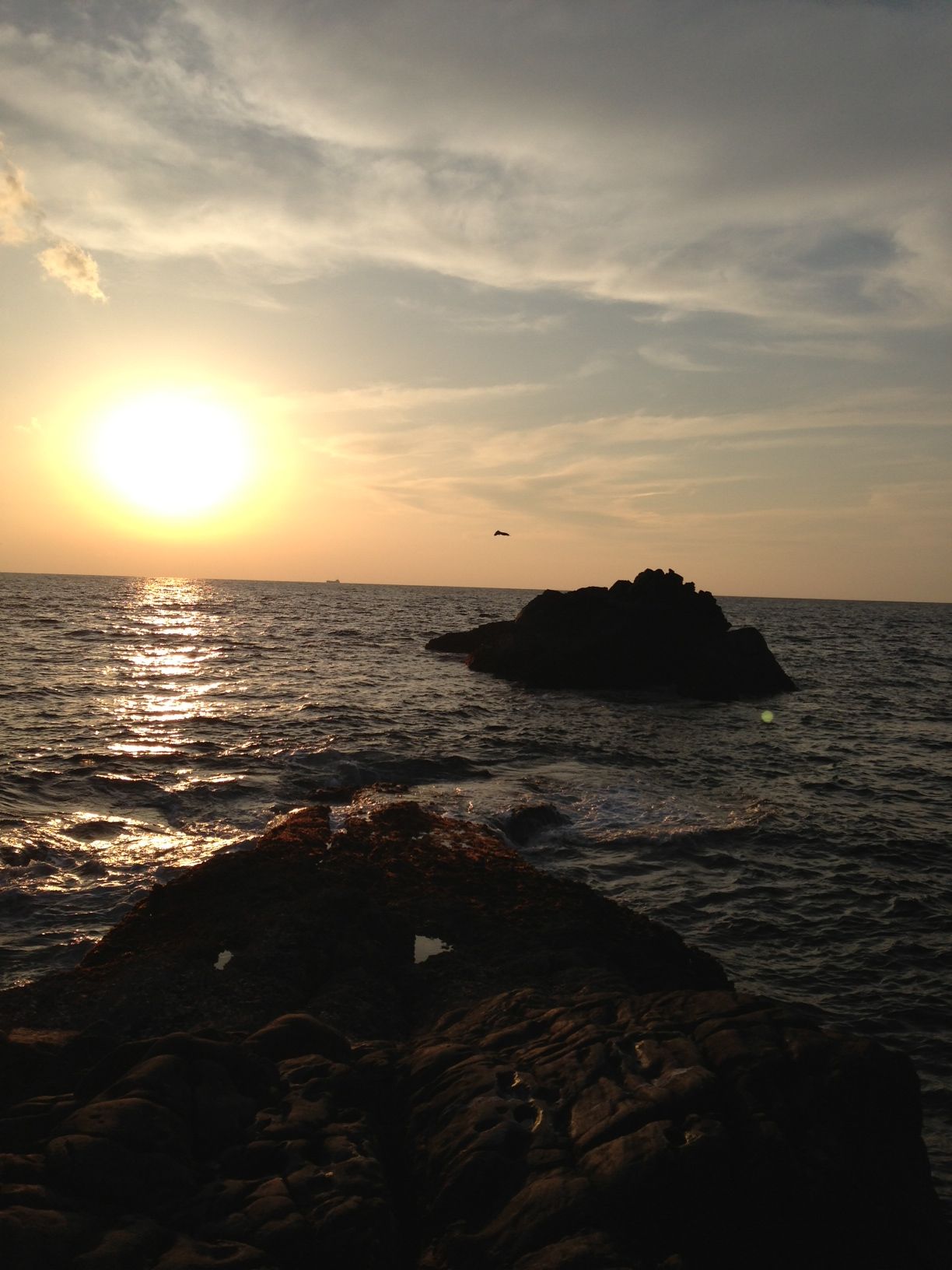 2014/1/24 ���u �Z�C�_�G����