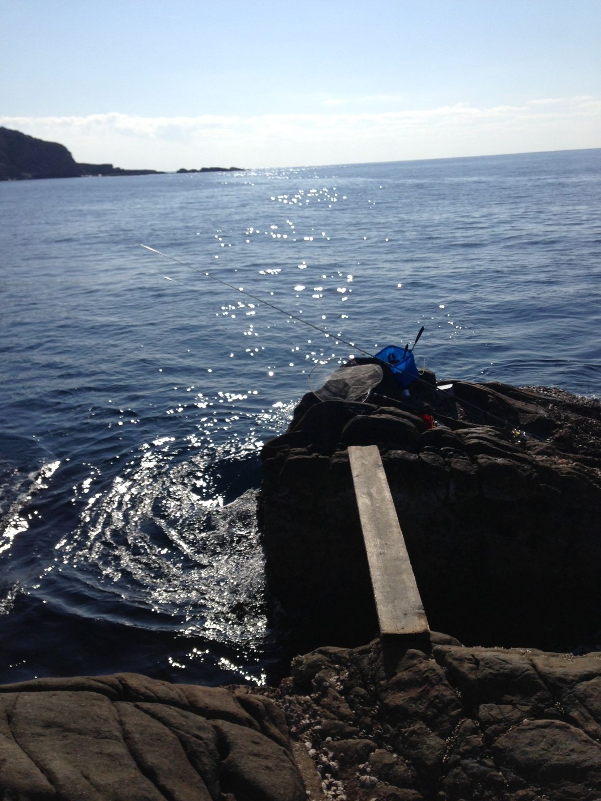 2014/1/24 ���u �Z�C�_�G����