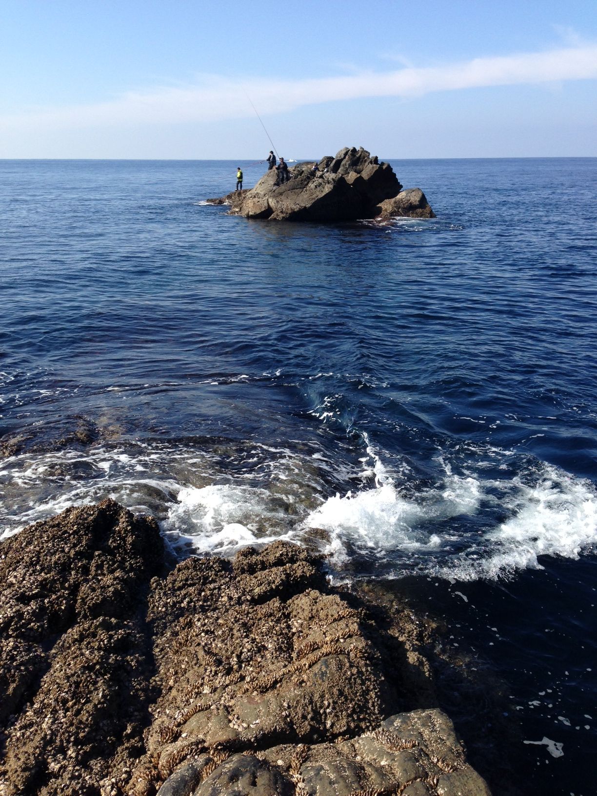 2014/1/24 ���u �Z�C�_�G����