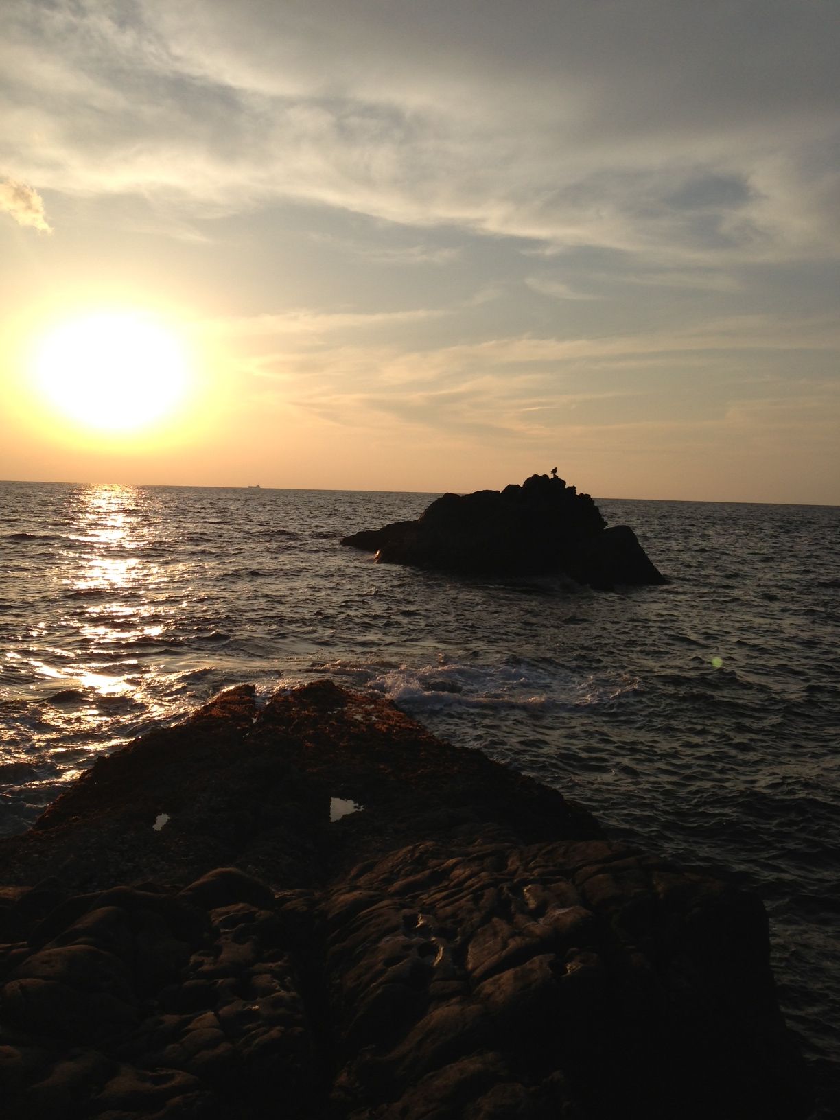 2014/1/24 ���u �Z�C�_�G����