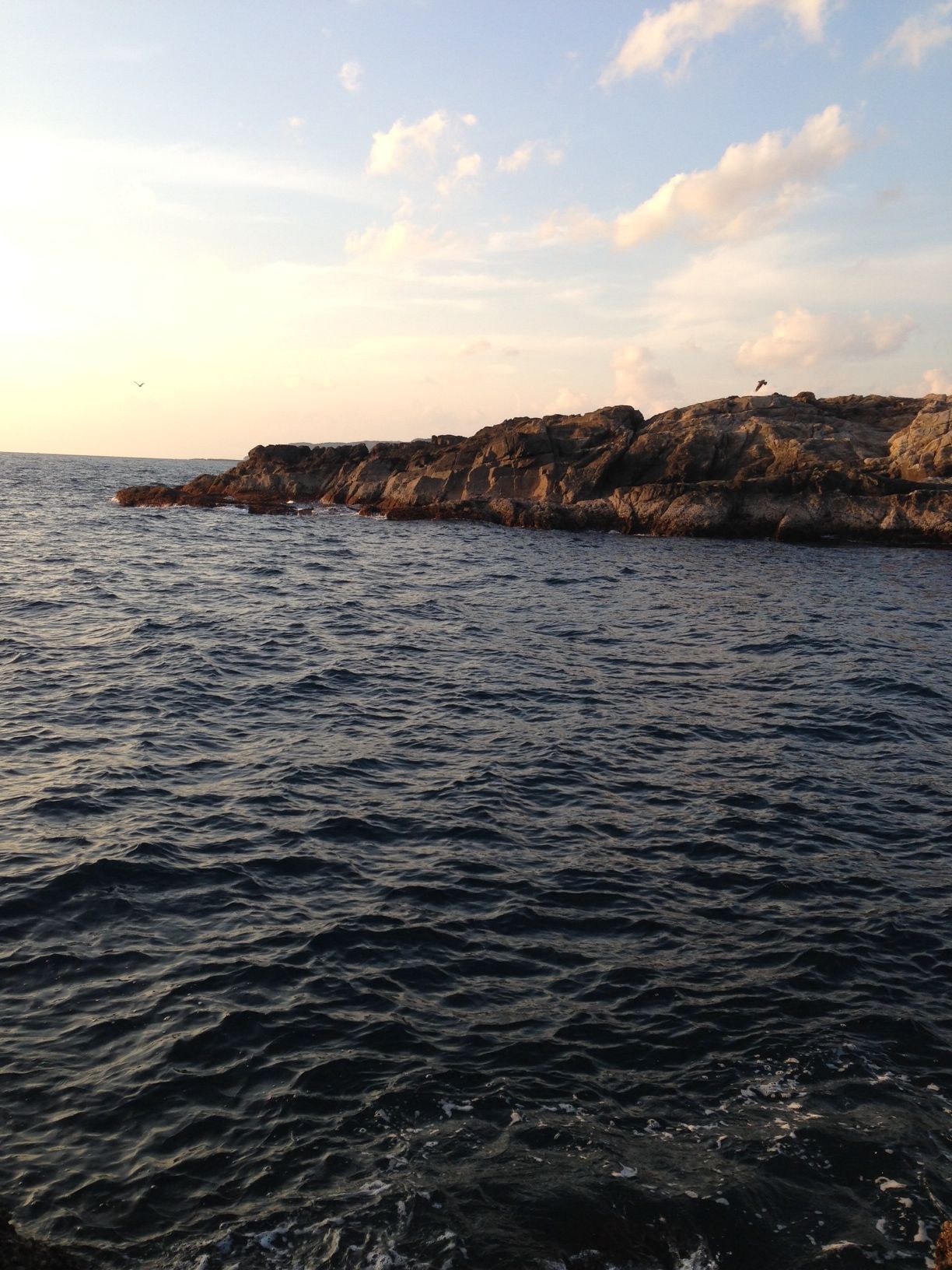 2014/1/24 ���u �Z�C�_�G����