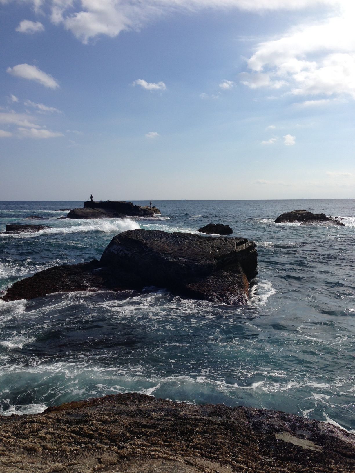 2014/1/25 ���n �����C���m