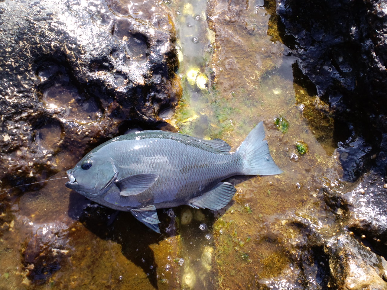 2011/3/5 �ڗǁ@�o���K