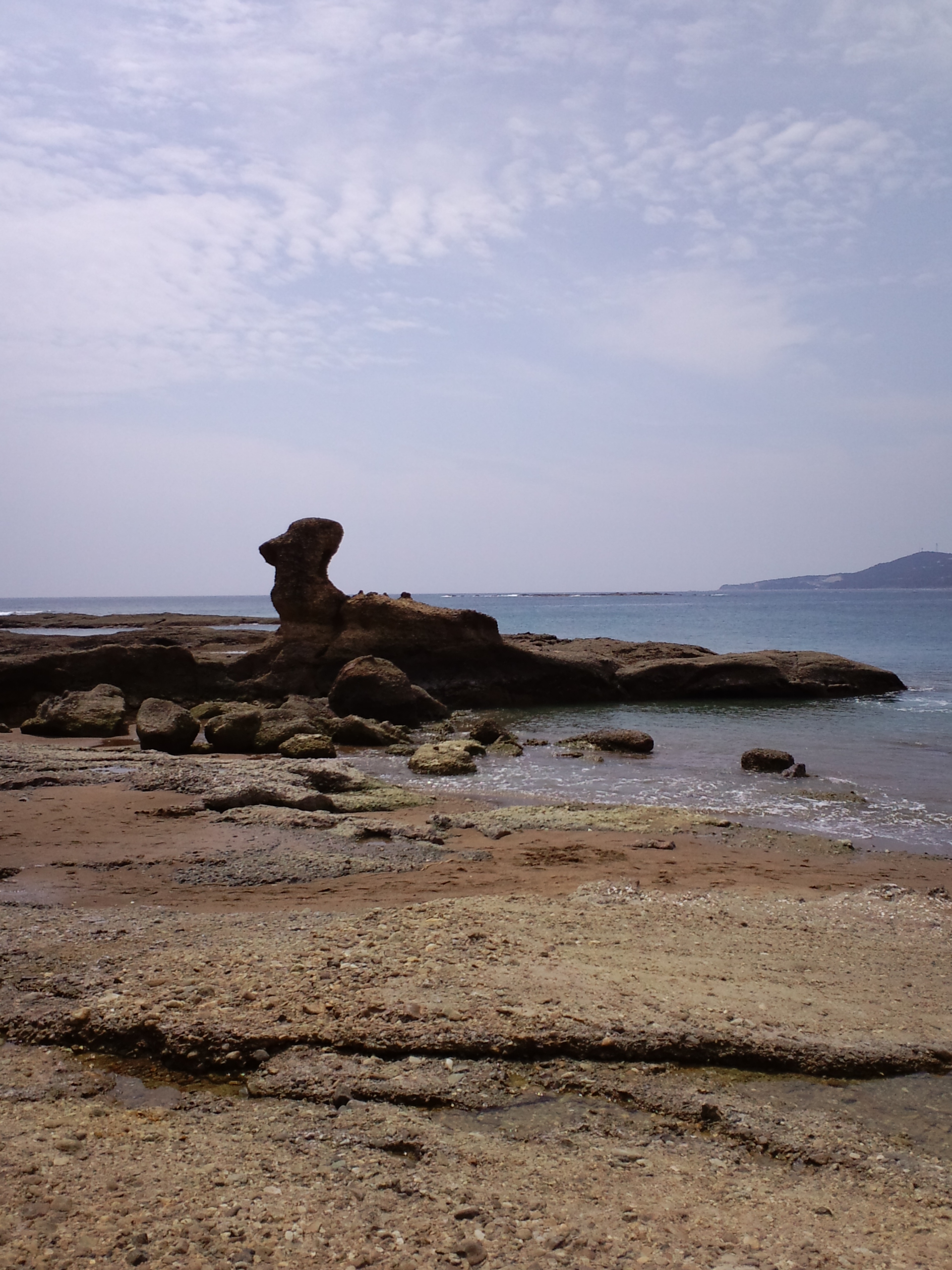 2011/8/1�ڒÍ� �J���X