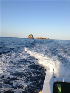 2014/3 ���Y�@�`���E�V