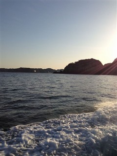 2014/3 ���Y�@�`���E�V