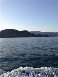 2014/3 ���Y�@�`���E�V