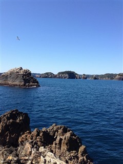 2014/3 ���Y�@�`���E�V