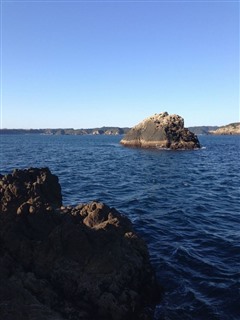 2014/3 ���Y�@�`���E�V