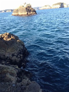 2014/3 ���Y�@�`���E�V