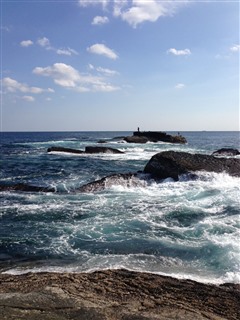 2014/1/25 ���n �����C���m