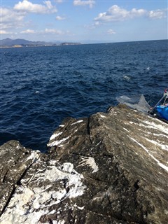 2014/1/25 ���n �����C���m