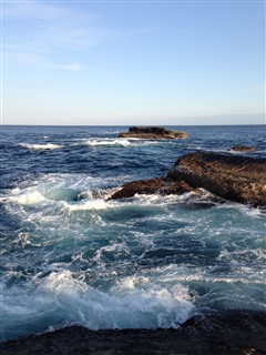 2014/1/25 ���n �����C���m