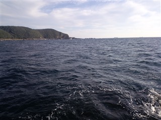 2010/11/5 ���u�Z�C�_�G����