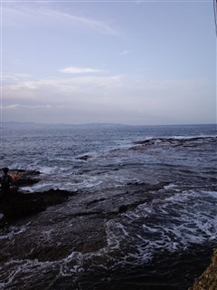 2011/8/1�ڒÍ� �J���X