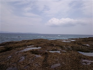 2011/8/1�ڒÍ� �J���X