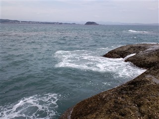 2011/8/1�ڒÍ� �J���X