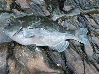 2011/11/25���u ����