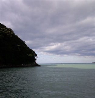 2011/11/25���u ����