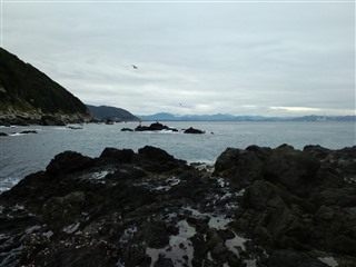 2011/12/2 �O�� ���o�C