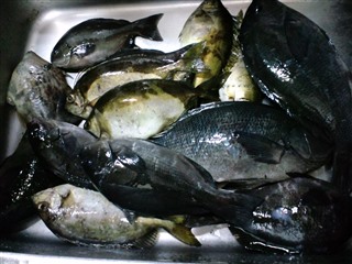 2011/12/27 �O���E�X �I�V�J�P