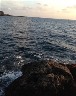 2014/1/24 ���u �Z�C�_�G����