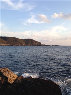 2014/1/24 ���u �Z�C�_�G����